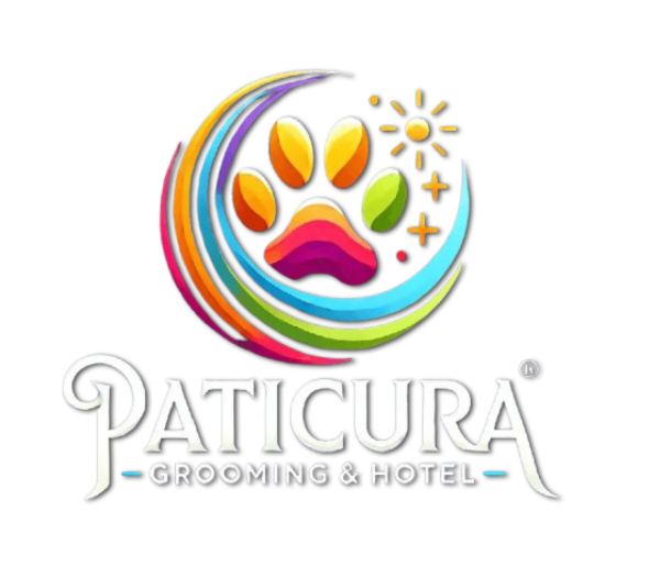 Paticura